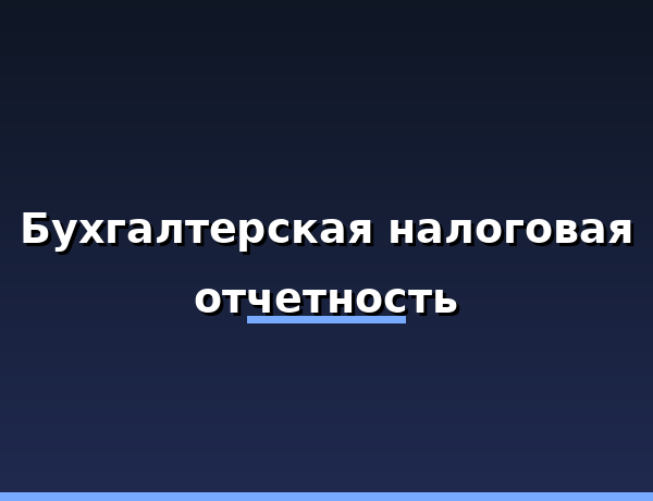 Бухгалтерская налоговая отчетность
